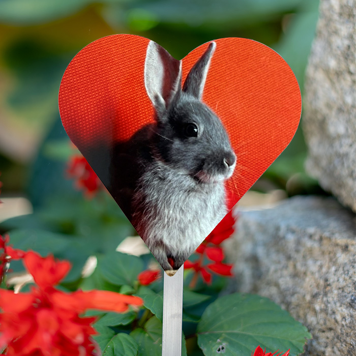 Foto von Photo souvenir grand coeur avec bâton